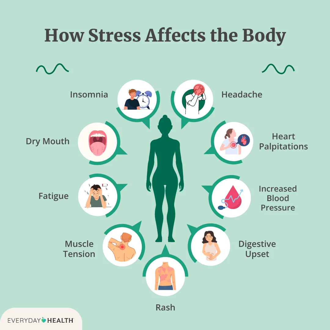 Understanding Stress and Its Impact on Your Health